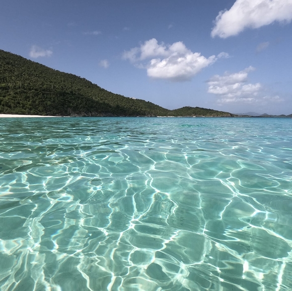 Meet your Posher, Julie - Picture 2 of 2